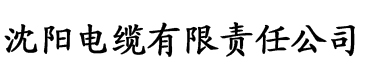 91香蕉视频免费破解版电缆厂logo